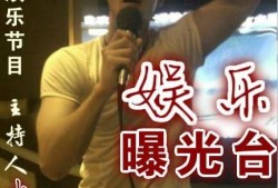 娱乐爆料百科,娱乐爆料百科大起底